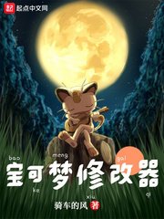 (精灵宝可梦同人)宝可梦修改器