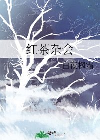 红茶杂会